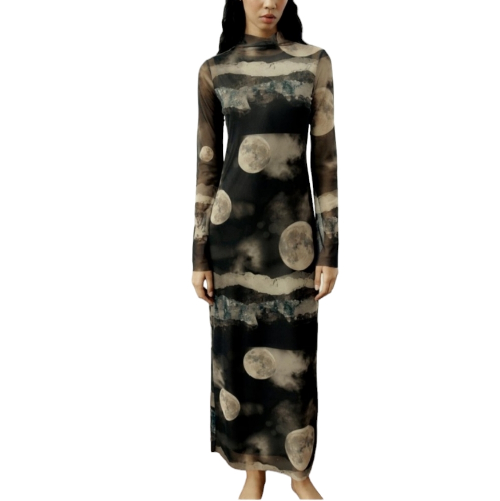 ZARA New Tulle Moon Peint Dress